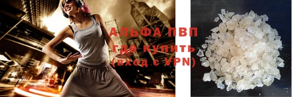 прущие грибы Пересвет