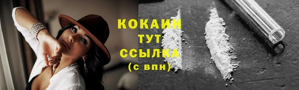 прущие грибы Пересвет