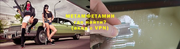 прущие грибы Пересвет