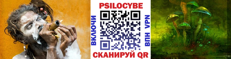 Галлюциногенные грибы Psilocybine cubensis  mega ONION  darknet Telegram  купить наркоту  Зеленодольск 