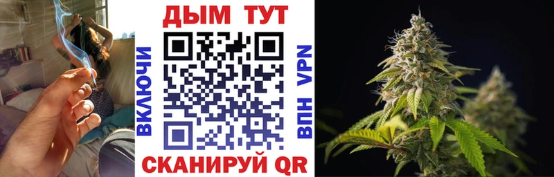 купить наркотик  Зеленодольск  Канабис Amnesia 